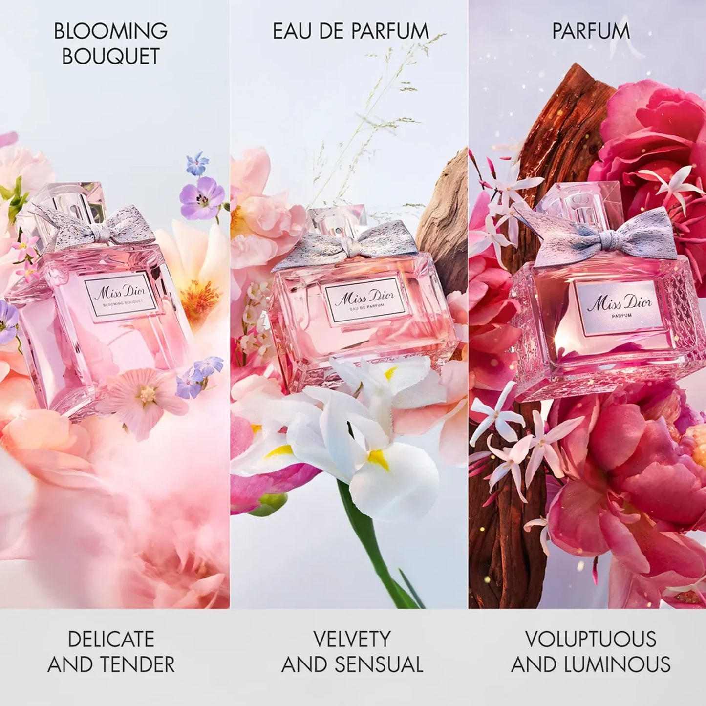 Dior Miss Dior 2.8 oz Parfum for women